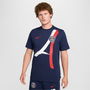 Paris Saint Germain Iconic T shirt Mens