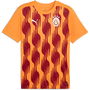 Galatasaray Prematch Shirt 2024 2025 Adults