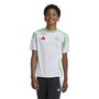 Algeria Home Shirt 2024 2025 Juniors