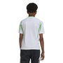 Algeria Home Shirt 2024 2025 Juniors