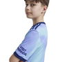 Arsenal Third Shirt 2024 2025 Juniors