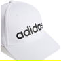 Daily Baseball Cap Adults