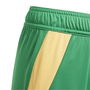 Tiro 24 Football Shorts Juniors