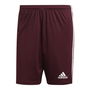 Squadra 21 Shorts