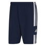 Squadra 21 Woven Shorts