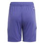 Tiro 24 Football Shorts Juniors