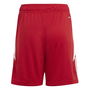 Tiro 24 Football Shorts Juniors