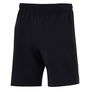 Toulosue 24/25 Team Shorts Mens