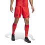 Bayern Munich Home Shorts 2024 2025 Adults