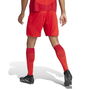 Bayern Munich Home Shorts 2024 2025 Adults