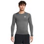 Armour HeatGear® Long Sleeve Mens