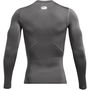 Armour HeatGear® Long Sleeve Mens