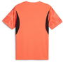 Goalkeeper Short Sleeve Shirt Adults