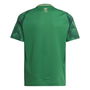 Saudi Arabia Home Shirt 2024 2025 Juniors