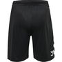 Poly Shorts Mens