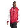 Ajax Amsterdam Originals Hoodie Adults