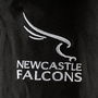 Newcastle Falcons 24/25 Training Shorts Mens