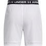 Armour UA Vanish Woven 6 Shorts Mens