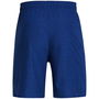 Armour UA Tech™ Vent Shorts Mens