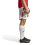 Benfica Home Shorts 2023 2024 Adults