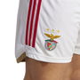 Benfica Home Shorts 2023 2024 Adults