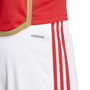 Benfica Home Shorts 2023 2024 Adults