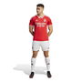 Benfica Home Shorts 2023 2024 Adults