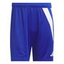 Fortore 23 Shorts Mens