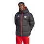 Bayern DNA Down Jacket 2023 2024 Adults