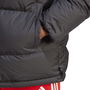 Bayern DNA Down Jacket 2023 2024 Adults