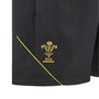 Wales 24/25 Training Shorts Kids