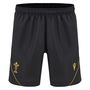 Wales 24/25 Training Shorts Mens