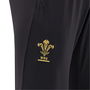 Wales 24/25 Training Pants Kids