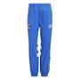 Olympique Lyonnais Originals 95 96 Tracksuit Bottoms Adults