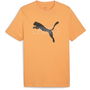 Desert Road Graphic T Shirt Mens