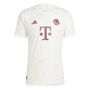 Bayern Munich Authentic Third Shirt 2023 2024 Adults