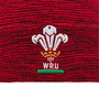 Wales 24/25 Bobble Hat 