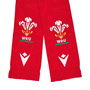 Wales 24/25 Scarf 