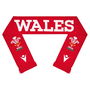 Wales 24/25 Scarf 