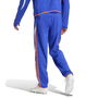 Wov Pnt Tracksuit Bottom Mens