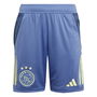 Ajax Amsterdam Tiro 24 Training Shorts Juniors