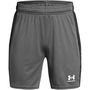 Armour UA Challenger Knit Shorts Boys