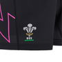 Welsh Rugby Union Shorts 2024 Juniors