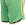 Jamaica Home Shorts 2023 Juniors