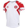 Denmark Away Shirt 2023 Juniors