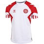 Denmark Away Shirt 2023 Adults