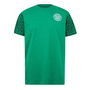 Celtic Graphic T shirt Adults