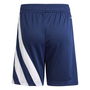 Fortore 23 Football Shorts Juniors