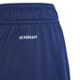 Fortore 23 Football Shorts Juniors