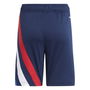 Fortore 23 Football Shorts Juniors